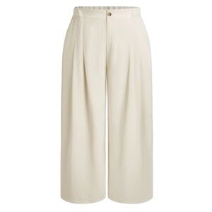 Cider Cream Wide-Leg Trousers NWT Size 3X‎
